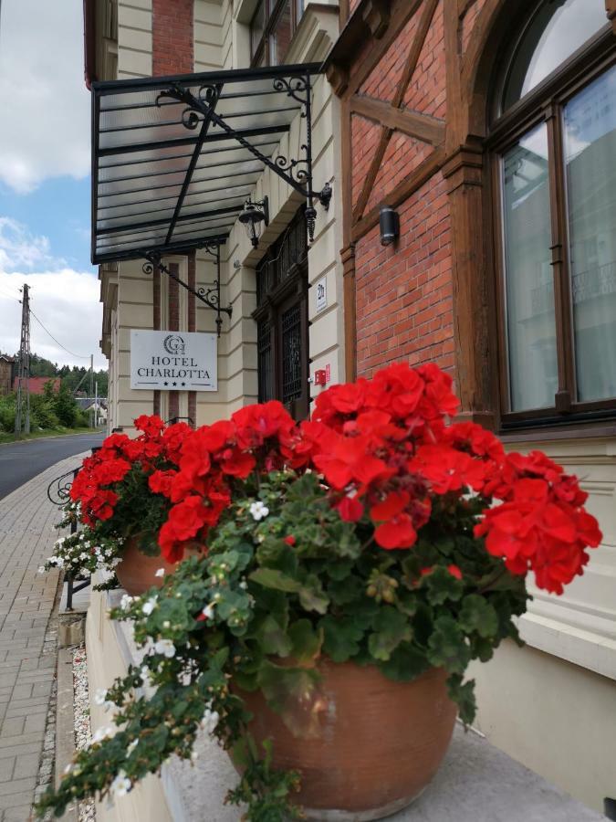 Hotel Charlotta Jedlina-Zdroj Luaran gambar